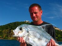 Pompano in Culebra