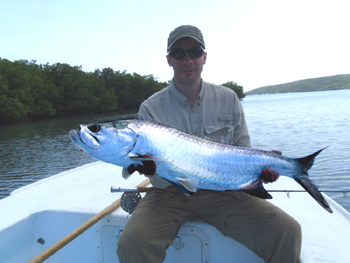 Tarpon