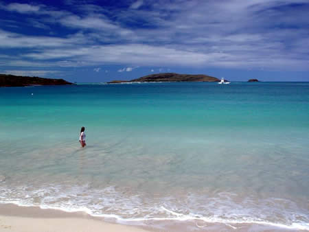 Culebra - Playa Tortuga